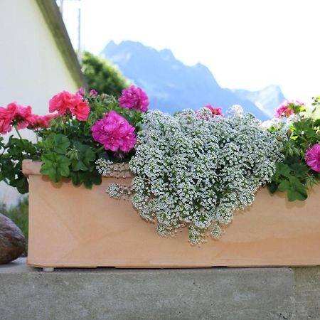 Apart Brigitta Sankt Leonhard im Pitztal Exteriör bild